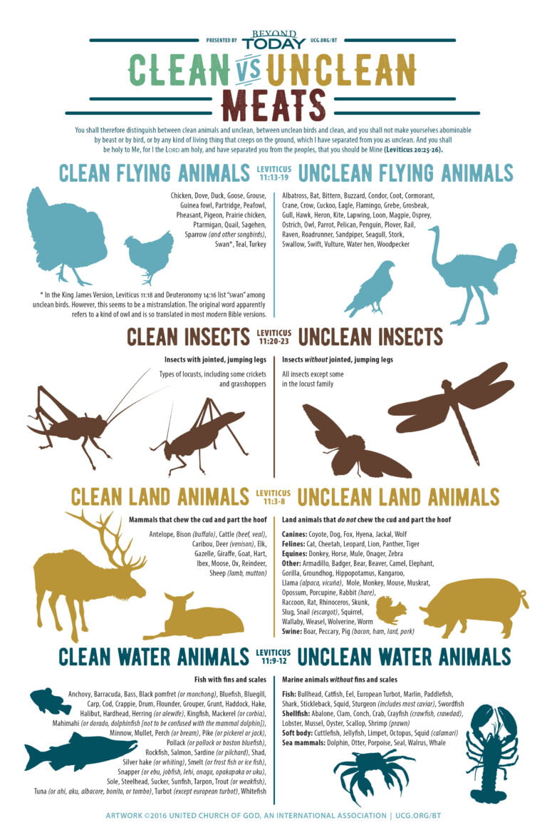 List Of Clean And Unclean Foods In Bible